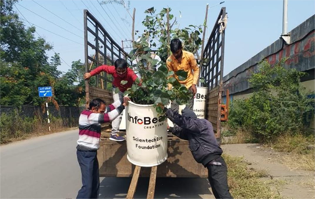 foundation-Afforestation